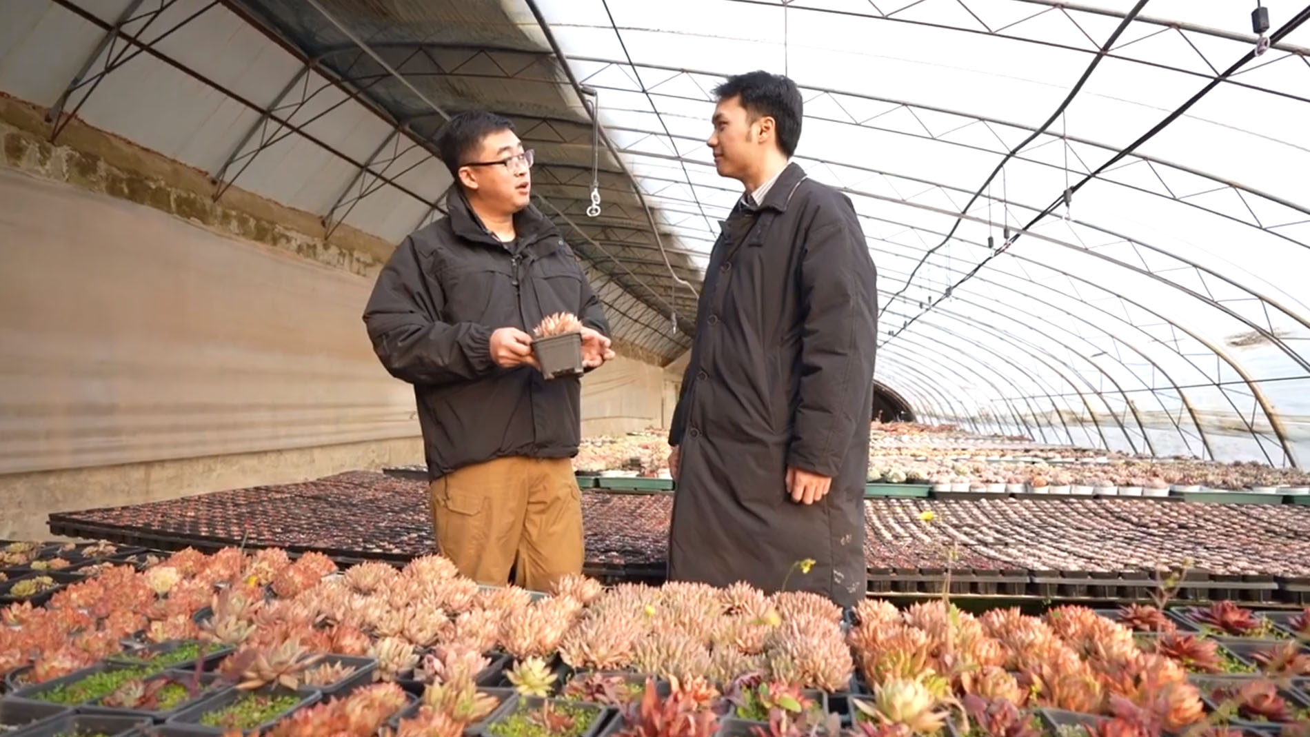 Chcę odtworzyć smaki mojego dzieciństwa – rozmowa z młodym przedsiębiorcą rolniczym Zhang Yushengiem