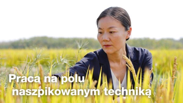 Praca na polu naszpikowanym techniką