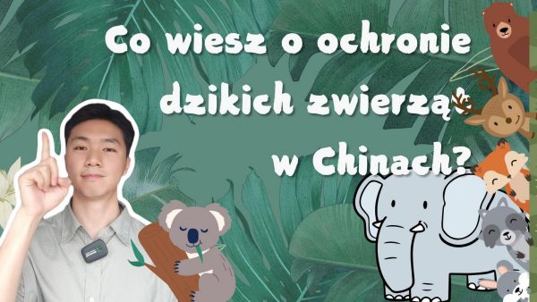 Co wiesz o ochronie dzikich zwierząt w Chinach?