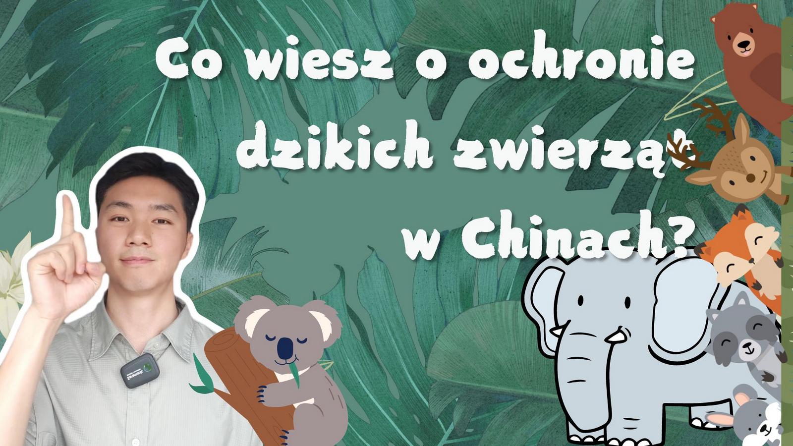Co wiesz o ochronie dzikich zwierząt w Chinach?