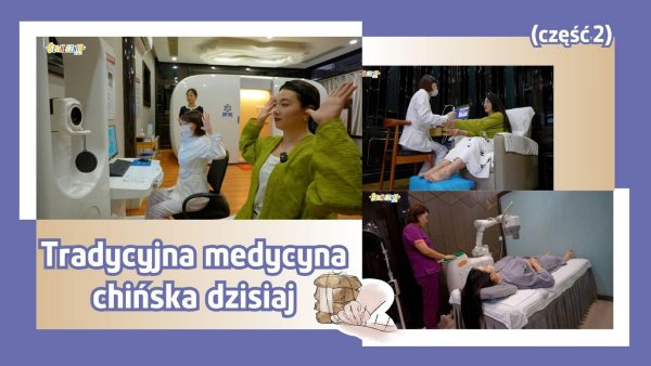 Tradycyjna medycyna chińska dzisiaj – część 2
