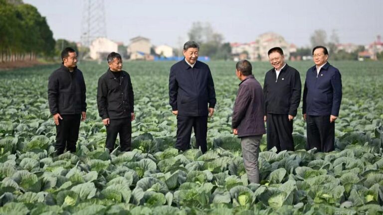 Xi Jinping wzywa do przyśpieszenia rewitalizacji obszarów wiejskich