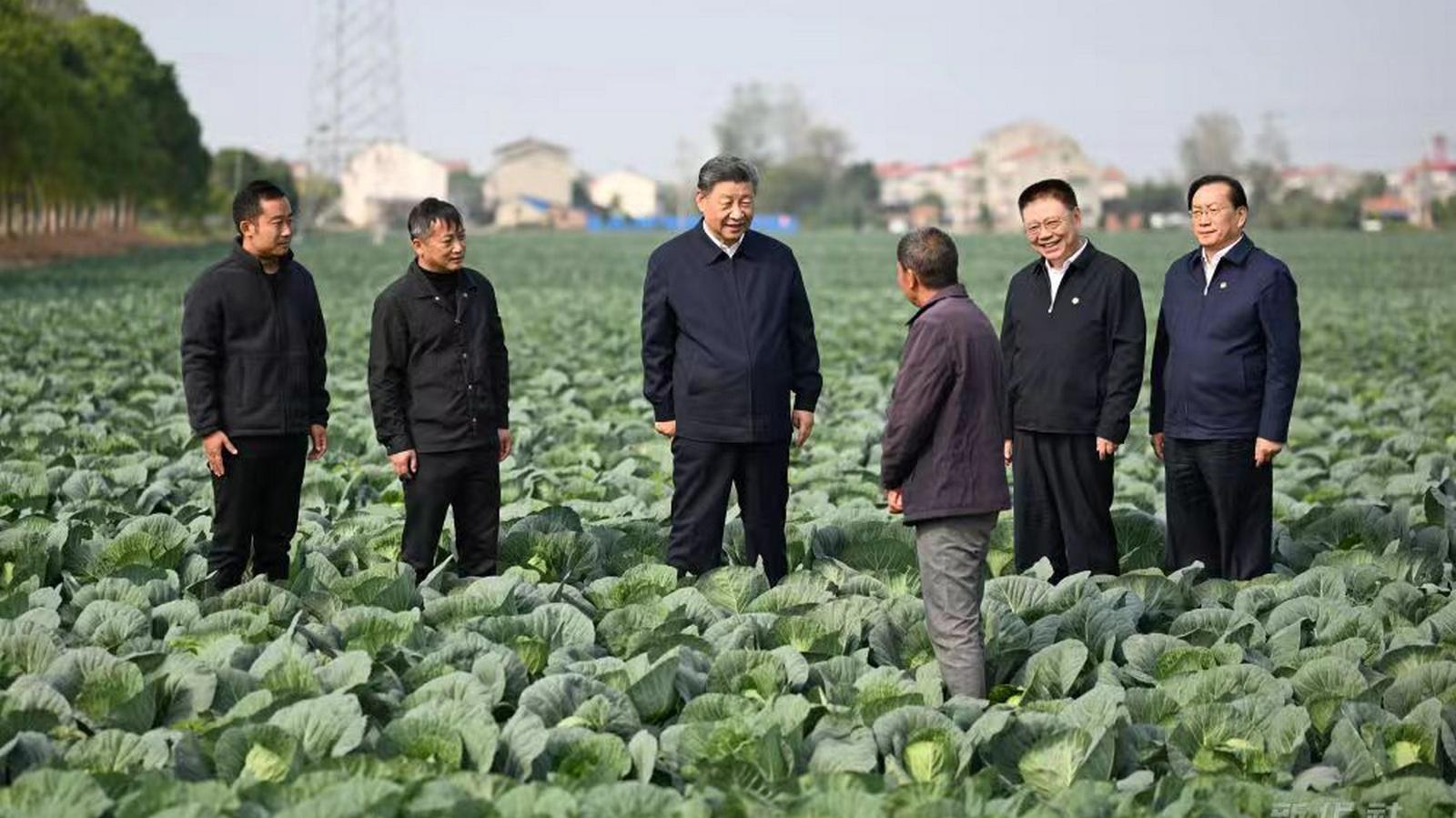 Xi Jinping wzywa do przyśpieszenia rewitalizacji obszarów wiejskich