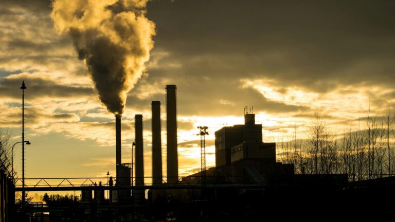 Ankieta CGTN: Kraje rozwijające się wykazują większą determinację w walce ze zmianami klimatu