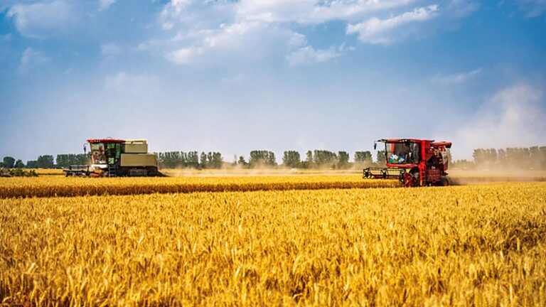 Xi Jinping apeluje o dalszy rozwój rolnictwa i obszarów wiejskich