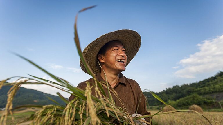 Kluczowe zadania dot. reformy wsi i rewitalizacji obszarów wiejskich