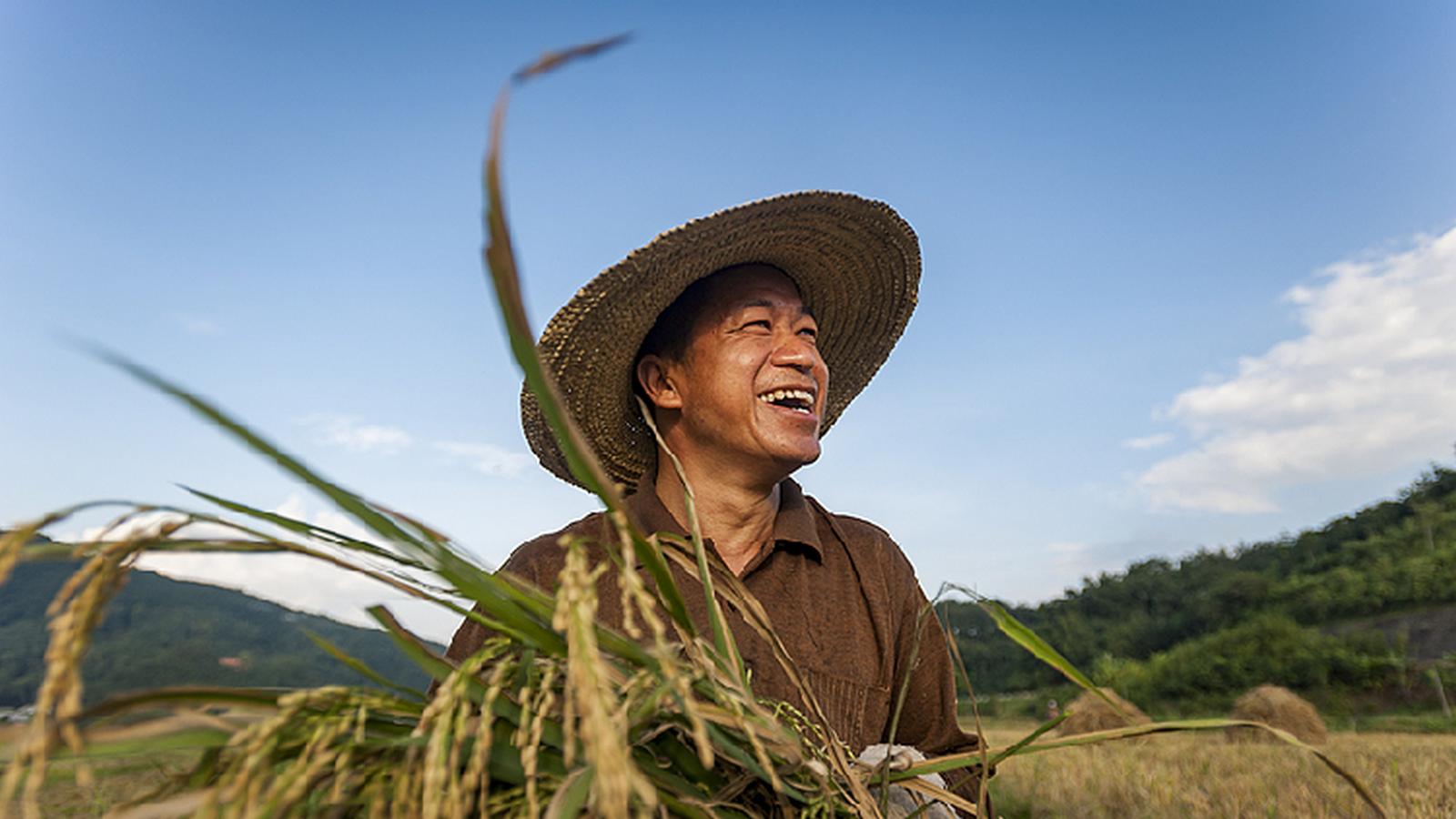 Kluczowe zadania dot. reformy wsi i rewitalizacji obszarów wiejskich