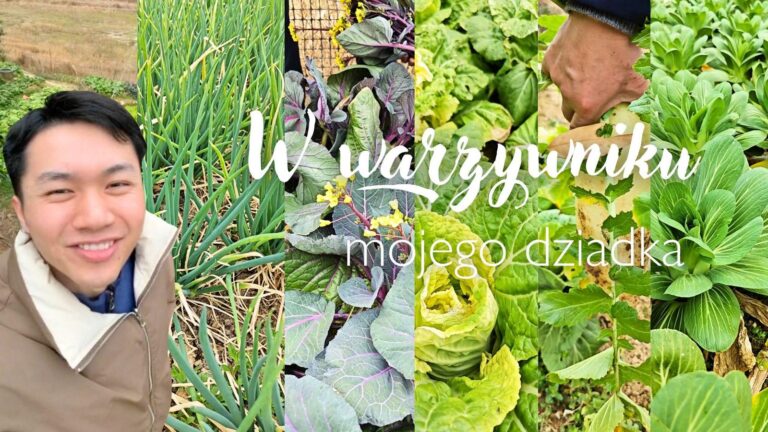 W warzywniku mojego dziadka