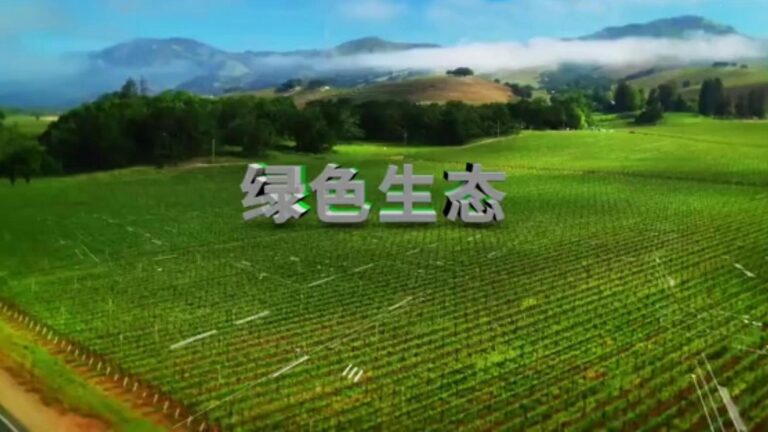 Nowa jakość sił wytwórczych w rolnictwie przynosi modernizację wsi