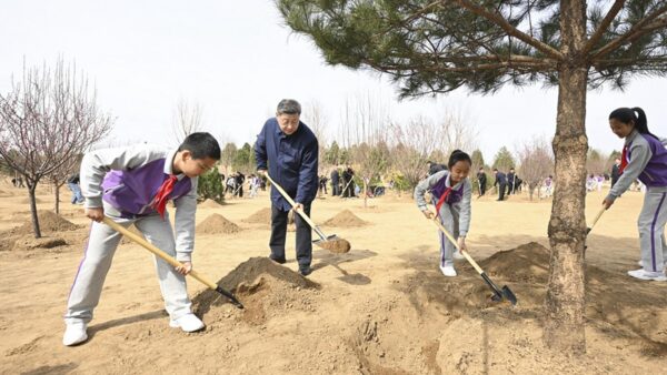 Xi Jinping uczestniczył w akcji sadzenia drzew